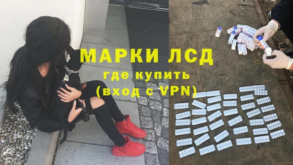 крисы Снежногорск
