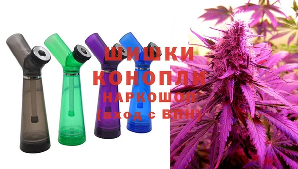 крисы Снежногорск