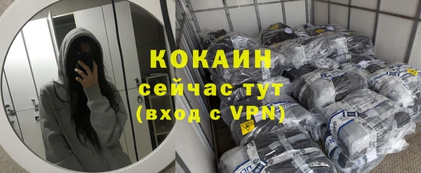 apvp Снежинск