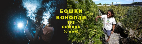 крисы Снежногорск