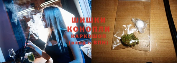 крисы Снежногорск