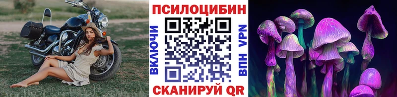 Галлюциногенные грибы Cubensis  Усмань 